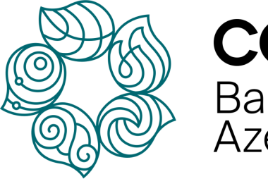 COP29 logo, several stylised leaves encircling each other