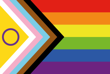 Inclusion Pride flag