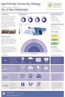 Age-friendly community strategy project chart