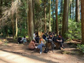 Students taking notes separately in the woods