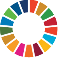 UN SDG logo